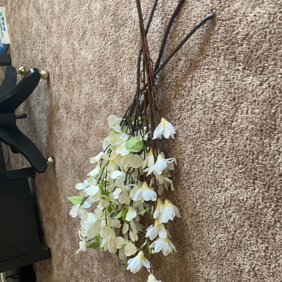 4 Stems - Picture 2 of 3